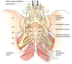 MATERNAL OBSTETRIC PALSY
